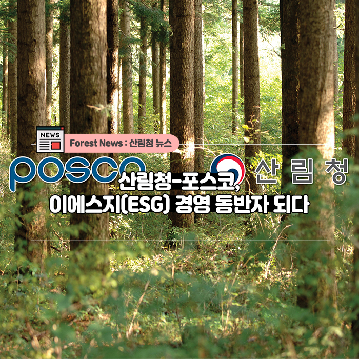 이에스지 이미지
