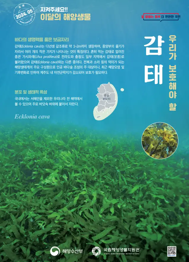 2024년 5월 이달의 해양생물 포스터