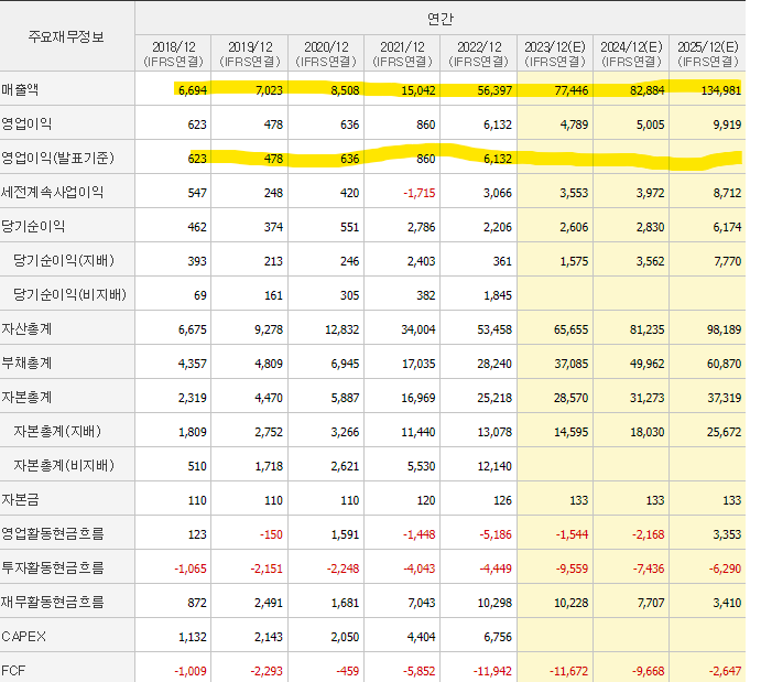 2차전지대장주_에코프로재무재표