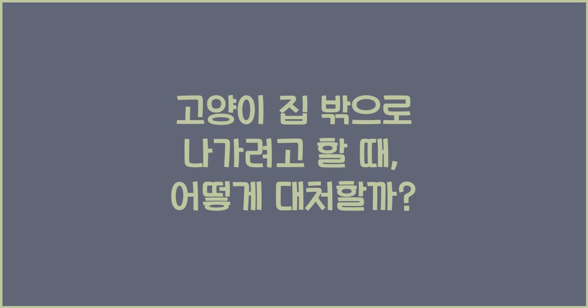 고양이 집 밖으로 나가려고 할 때