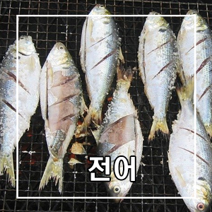 생선(물고기) 어원과 유래