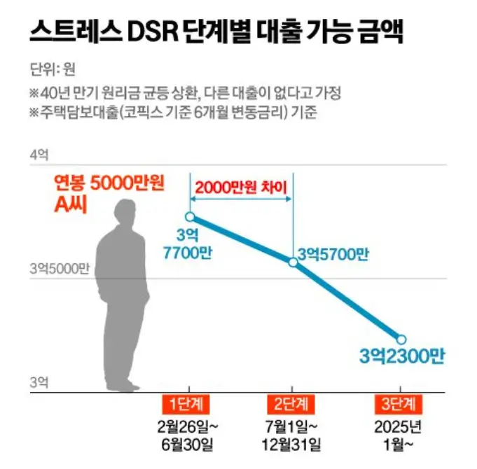 스트레스 DSR 의 적용 단계