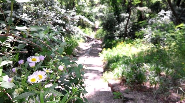 고은산(Goeunsan Mountain)