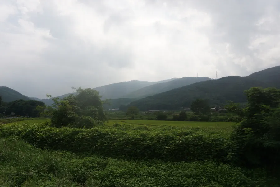 소백산 비로봉 연화봉 등산 완벽 산행코스 소요시간 주차팁과 철도 정보_5