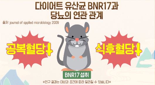 BNR17 효능-공복혈당-식후혈당 감소