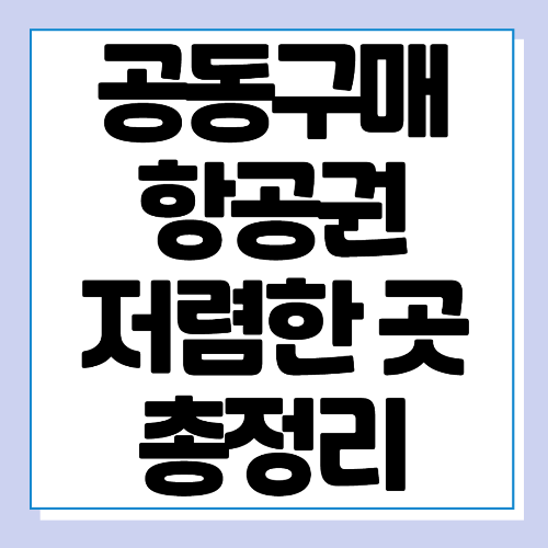  공동구매 항공권 저렴한 곳 바로가기