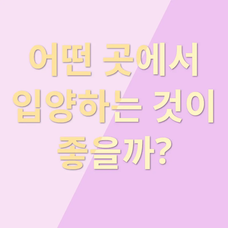 반려견 입양_2