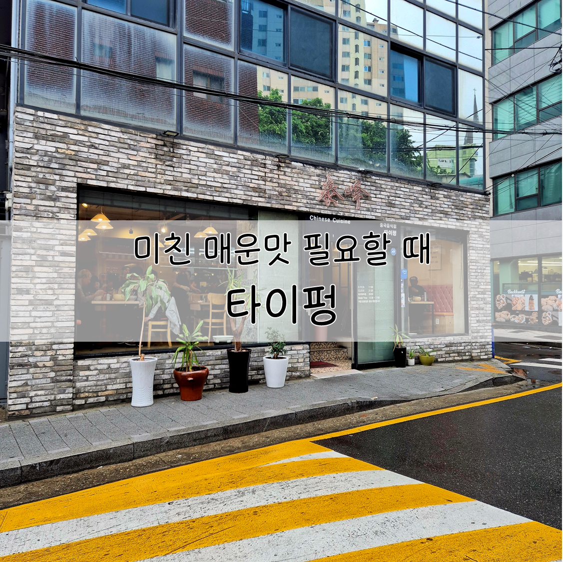 타이펑 이미지