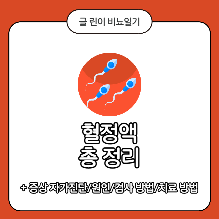  혈정액 총 정리