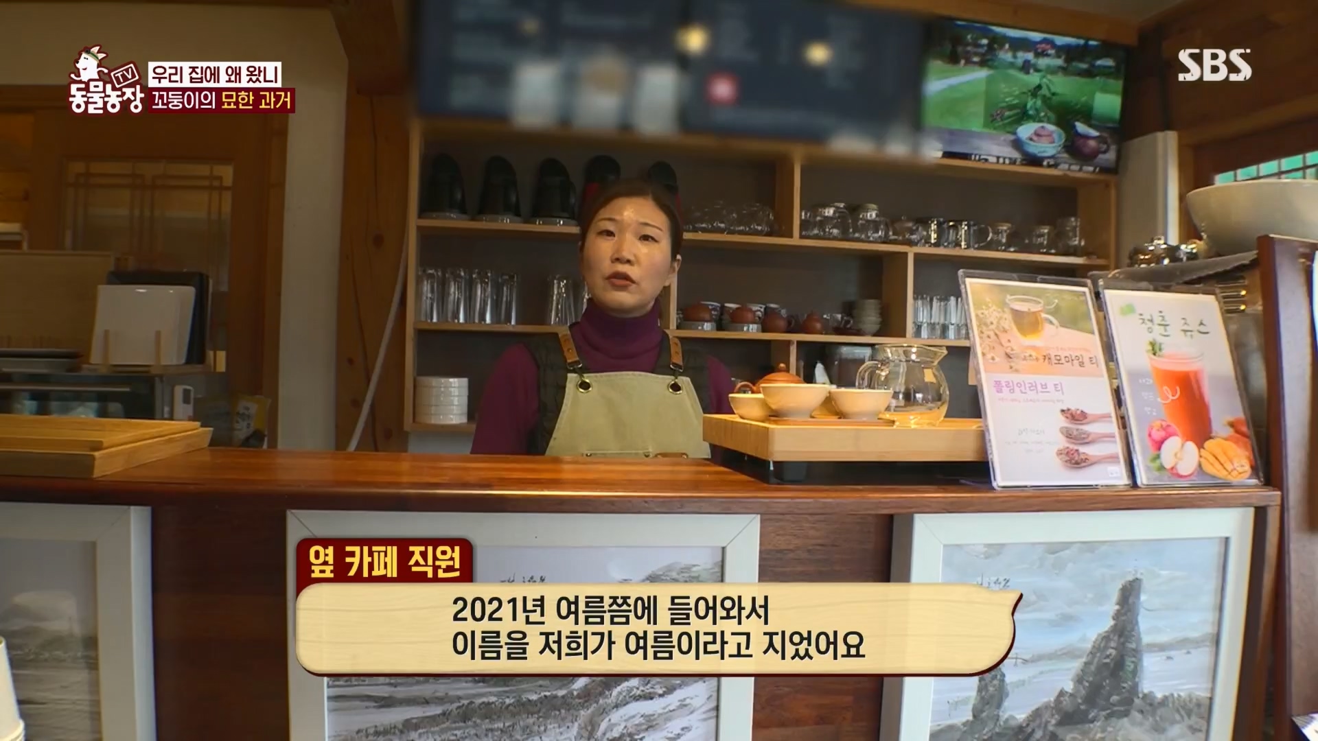 TV 동물농장.E1159.240218p.H264-F1RST.mp4_20240218_170006.868.jpg