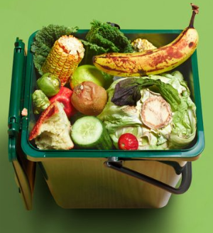 Reasons Why Food Waste Smells Unpleasant and Effective Ways to Eliminate Odors.