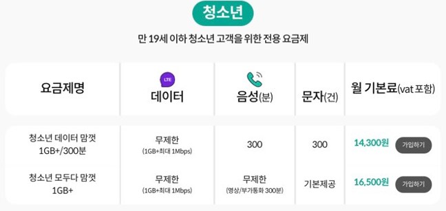 kt 알뜰폰