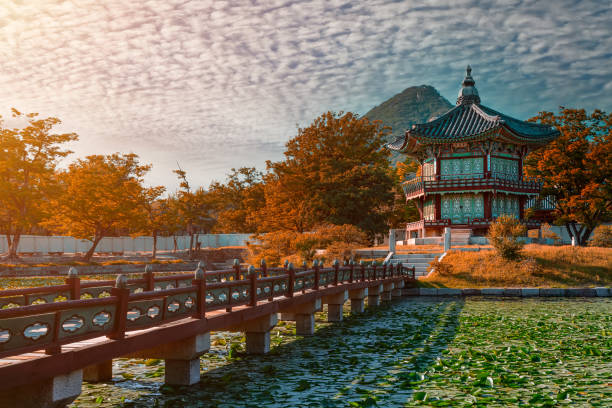 All You Need to Know about South Korea Tourism Statistics 2023 (Part.1)