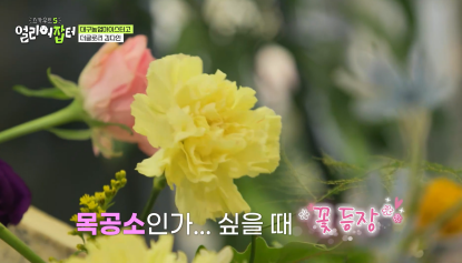 방송 보고 처음 안 화훼장식 국가대표 jpg | 인스티즈