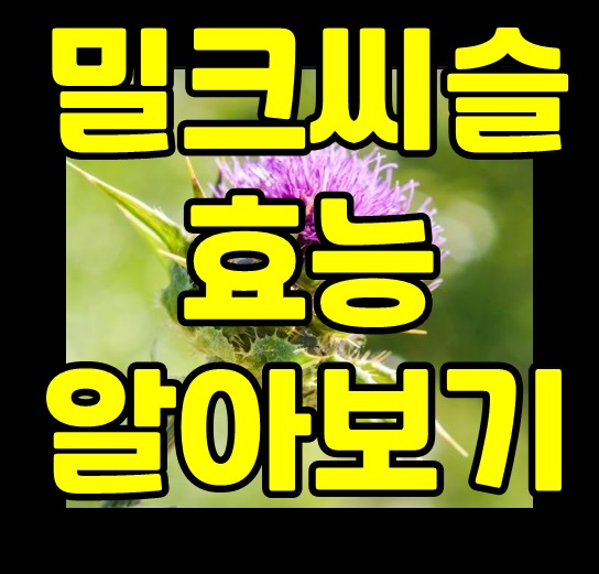  밀크씨슬 효능 알아보기