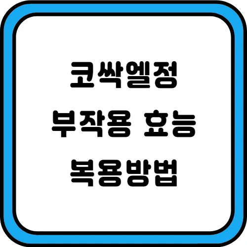 코싹엘정-썸네일