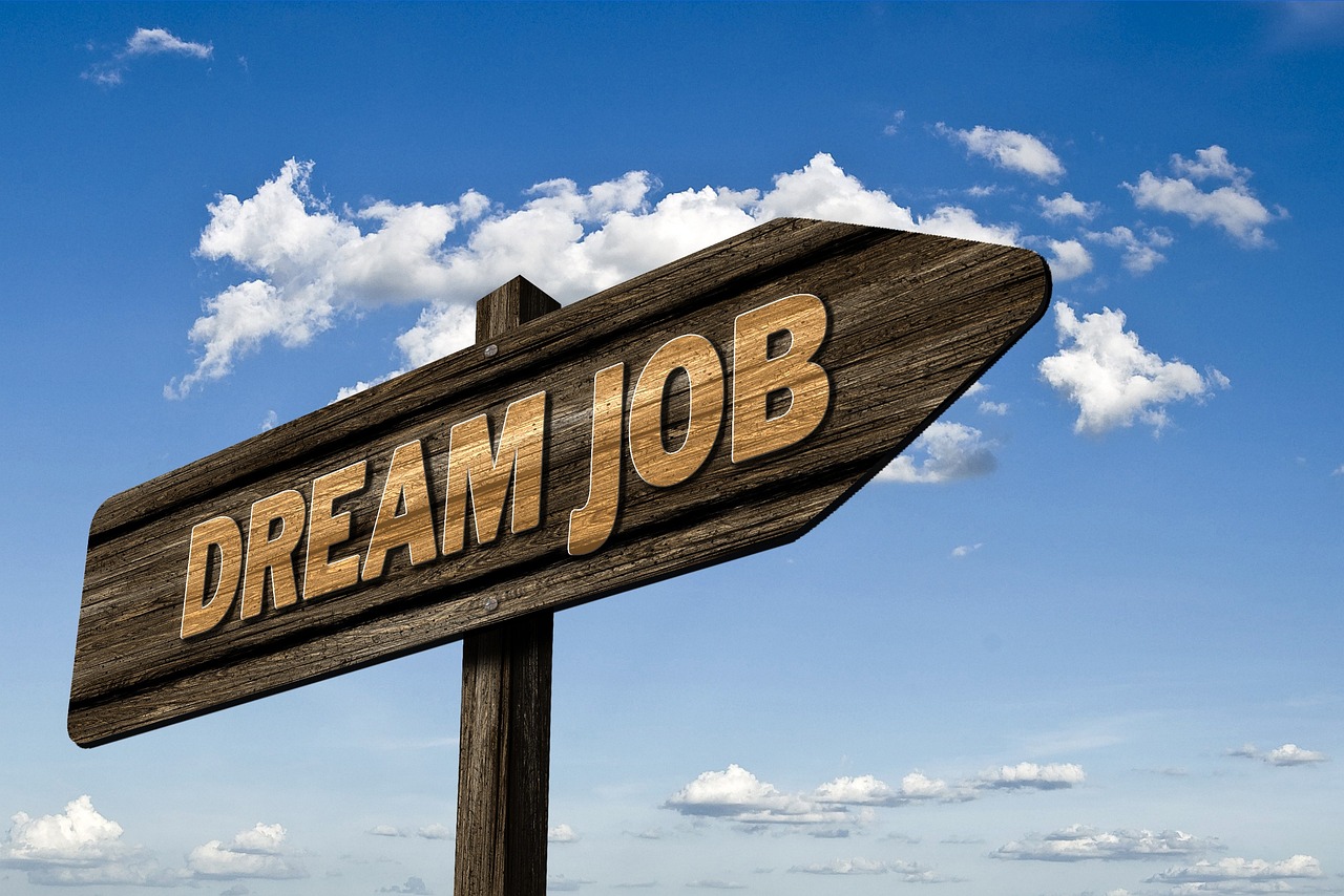 dream job(꿈의 직업&#44; 최상의 직업)