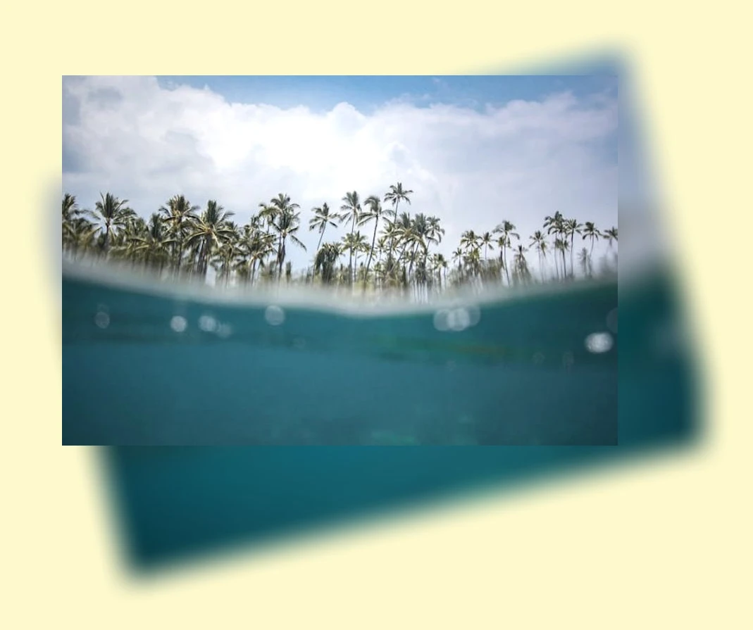 하와이 스카이다이빙_3_subsection