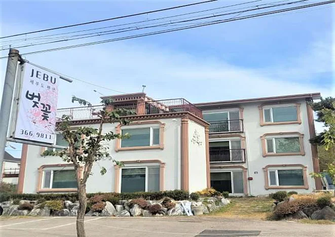 제부도펜션 벚꽃