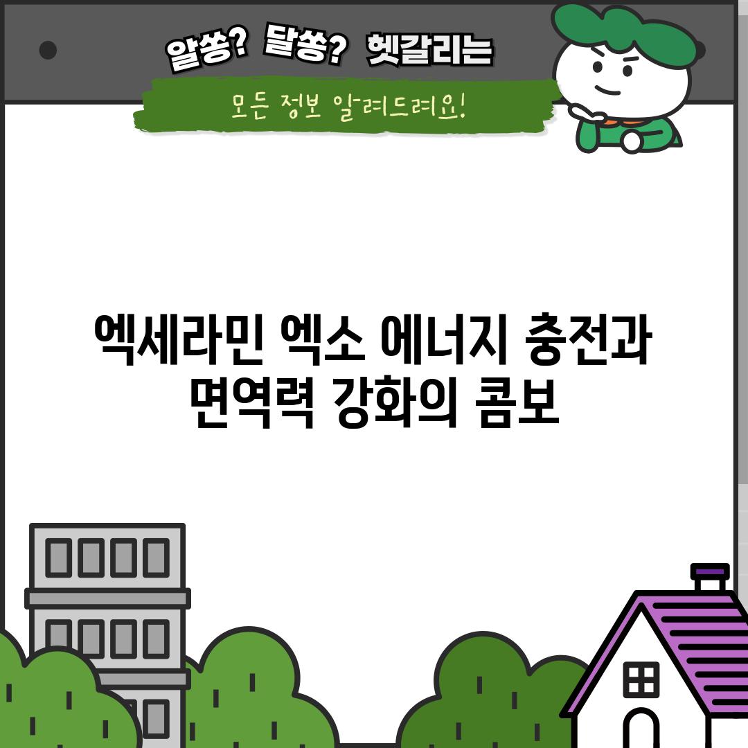 엑세라민 엑소: 에너지 충전과 면역력 강화의 콤보!