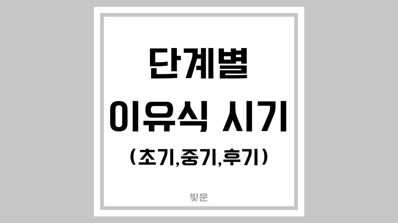 단계별 이유식 시기