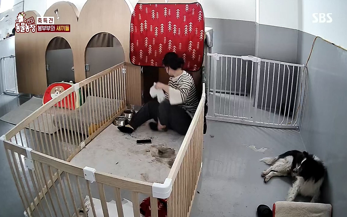 TV 동물농장.E1070.220523p-NEXT.mp4_20220522_182044.339.jpg