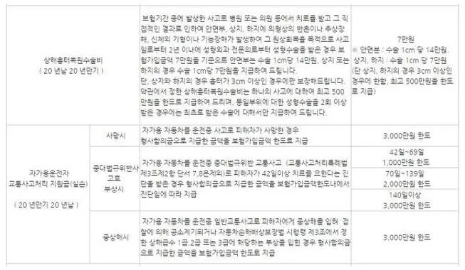 동부화재 운전자보험 보장내용