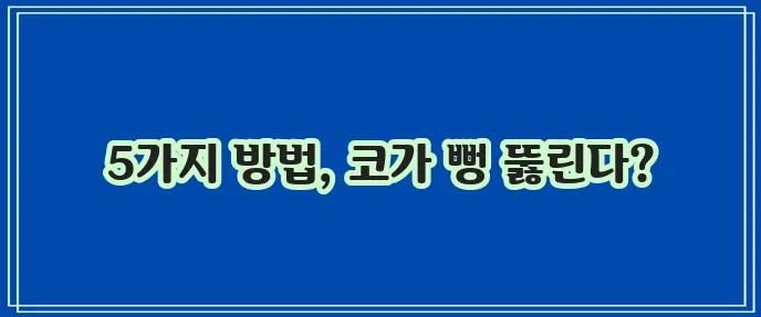 코막힘 해결 5가지 방법 답답한 코 시원하게 뚫어보세요!