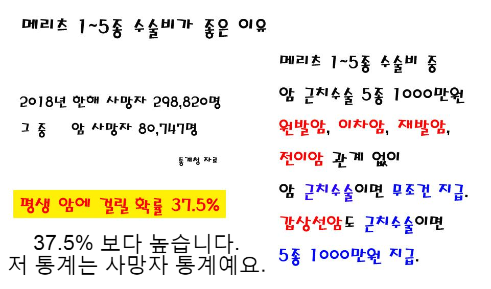  메리츠 종수술비가 최고인 이유.