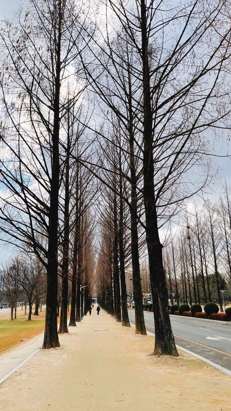 산들채 이미지