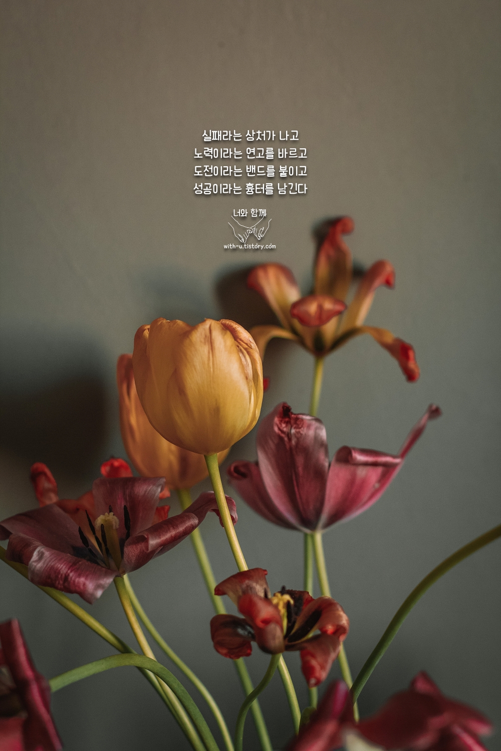  인생 명언 : 짧고 좋은 글귀 : 짧은 명언