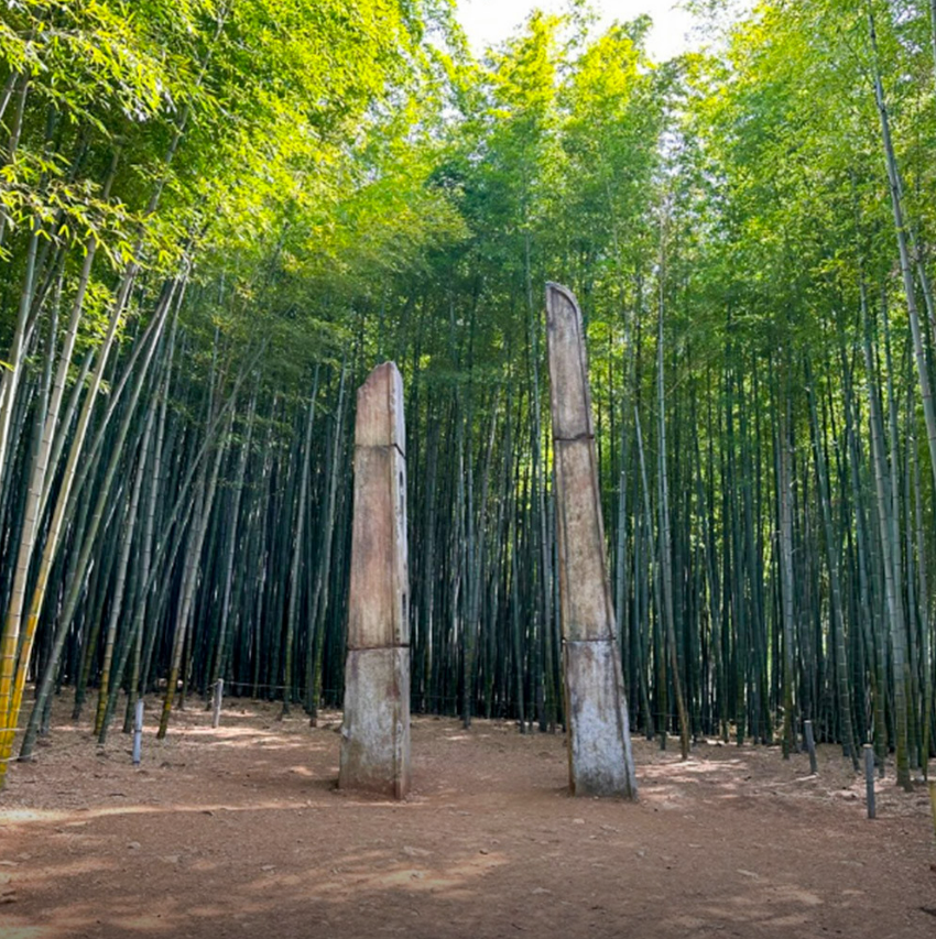 아홉산숲