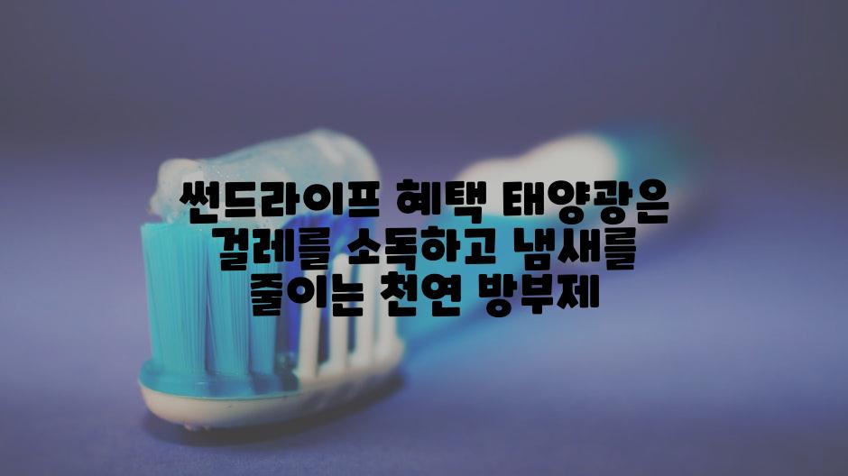 썬드라이프 혜택 태양광은 걸레를 소독하고 냄새를 줄이는 천연 방부제