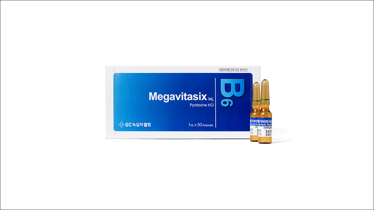 비타민제 메가비타식스주(Megavitasix Injection)