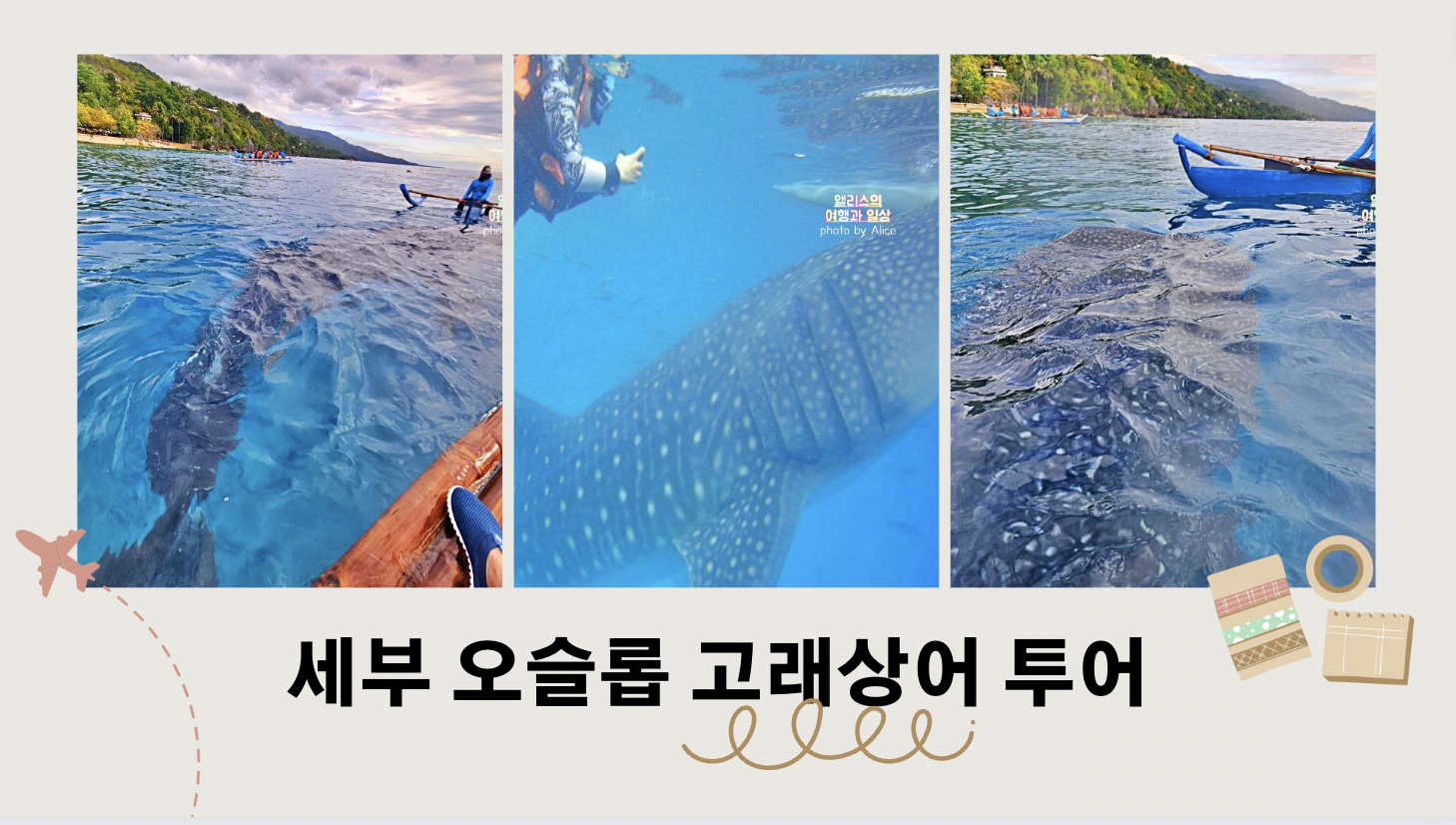 세부 오슬롭 고래상어 투어 준비물, 솔직 여행후기