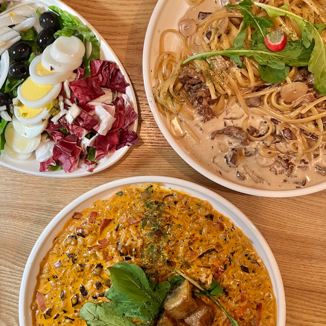  경기도 안산 고잔동 파스타 애견동반식당, 뽁식당 내돈내산 후기