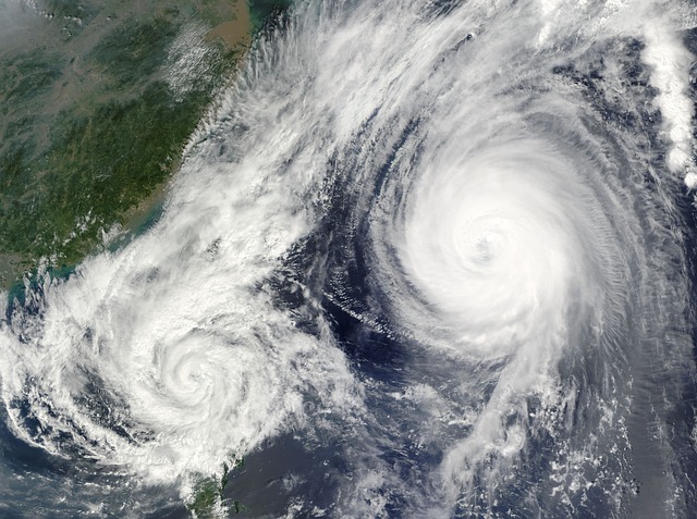 2개 동시 발생한 태풍 위성 사진 모습