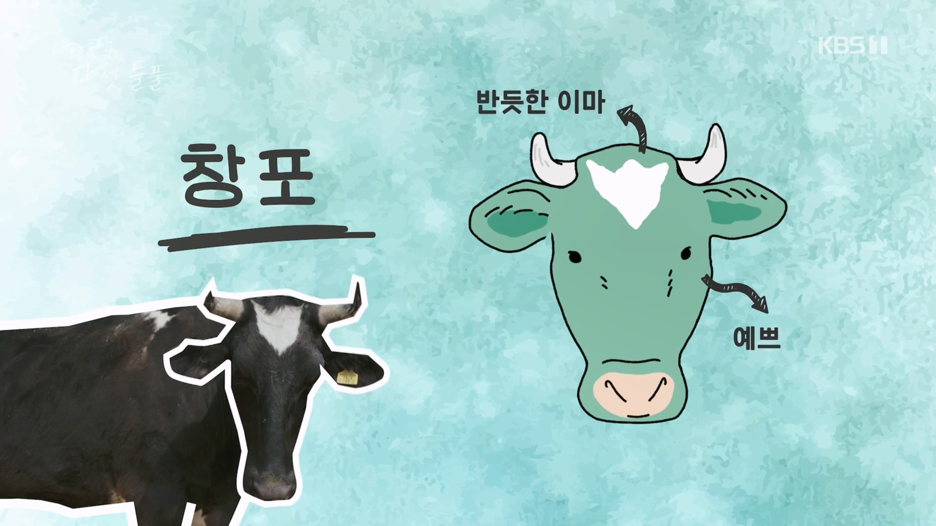 특집 다큐 나의 친구, 다섯 들풀.240119p.H264-F1RST.mp4_20240121_150420.100.jpg