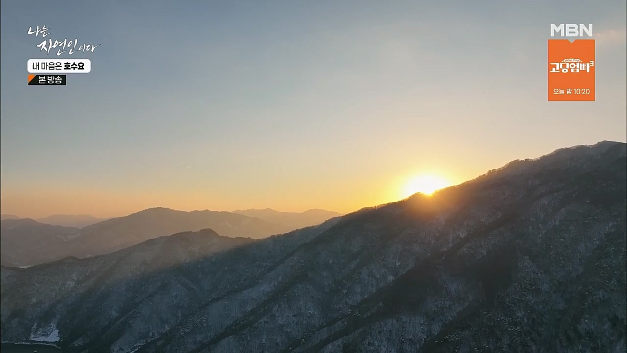 나는 자연인이다.E540.230209p.H264-F1RST.mp4_20230209_203735.525.jpg