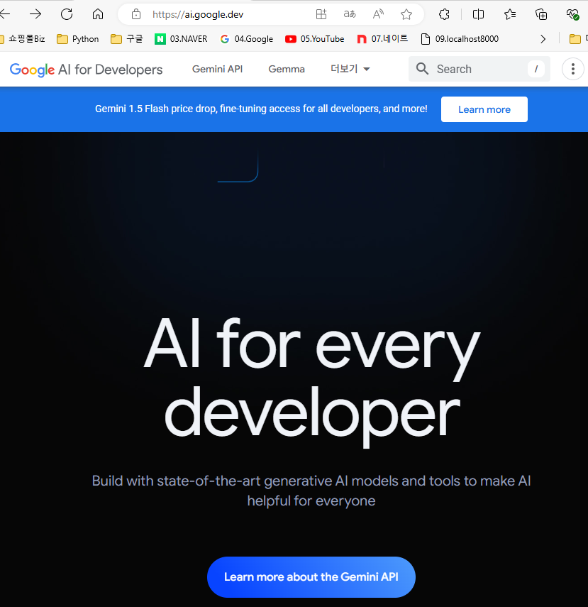 구글 디벨로퍼 google ai for developers