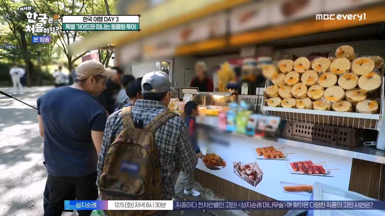 어서와 한국은 처음이지 시즌2.E291.231131p-NEXT.mp4_20231201_202427.610.jpg