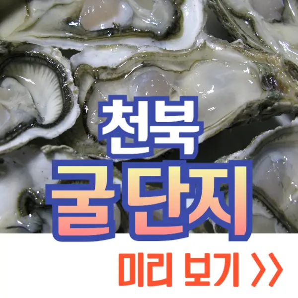 천북 굴 단지, 굴 축제