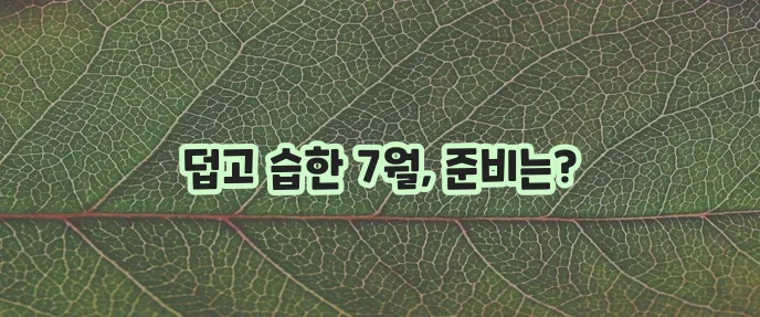7월 다낭 날씨, 정말 궁금하시죠!