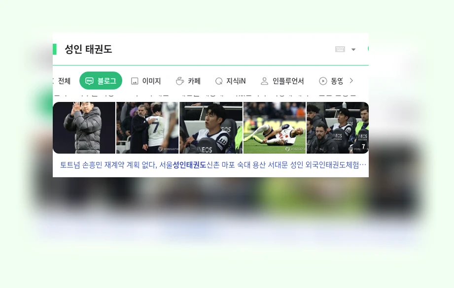 성인 태권도_1_subsection