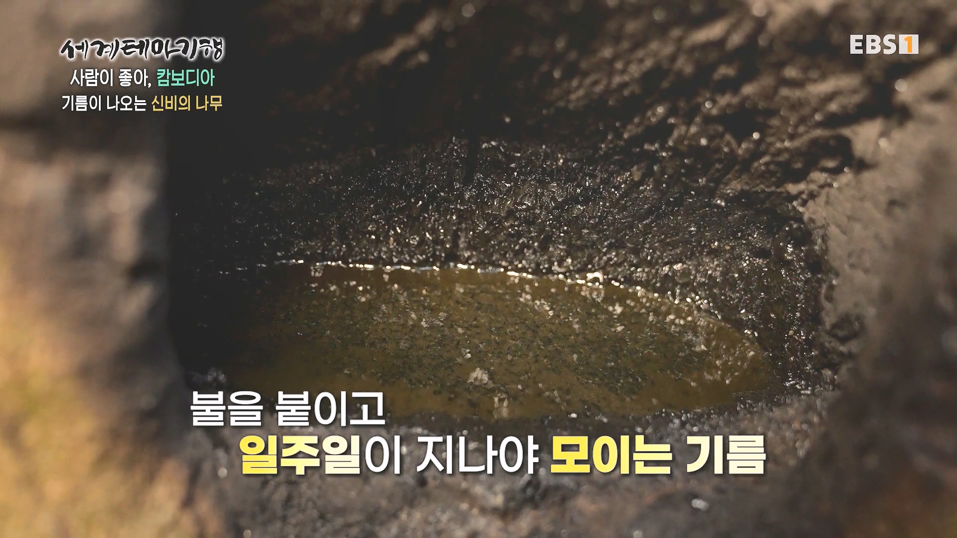 세계테마기행 240205 사람이 좋아, 캄보디아 -즐거운 나의 집, 몬둘키리0p.mp4_20240729_194626.069.jpg