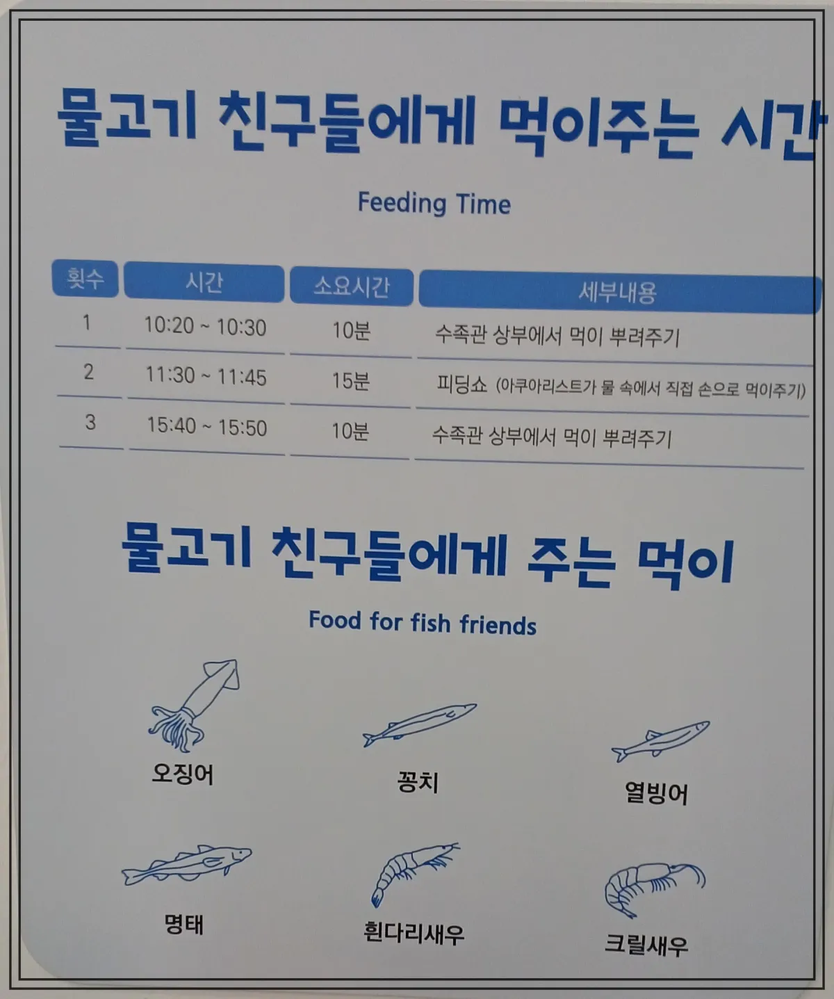 국립해양박물관-물고기먹이주는-시간