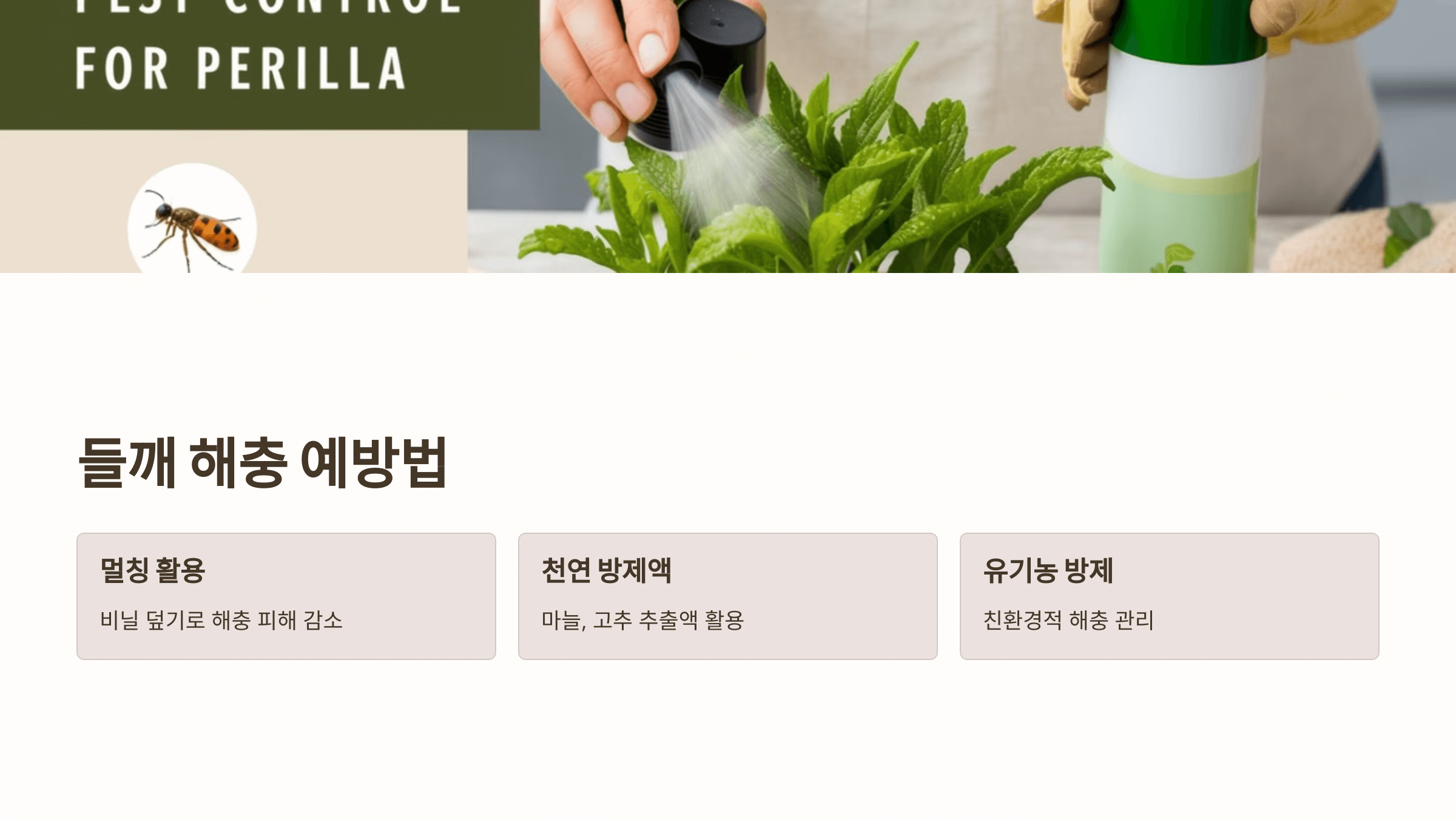 들깨 사진입니다.