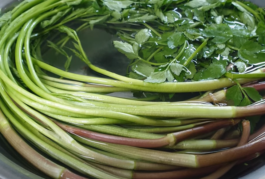 천연 해독제인 미나리의 효능