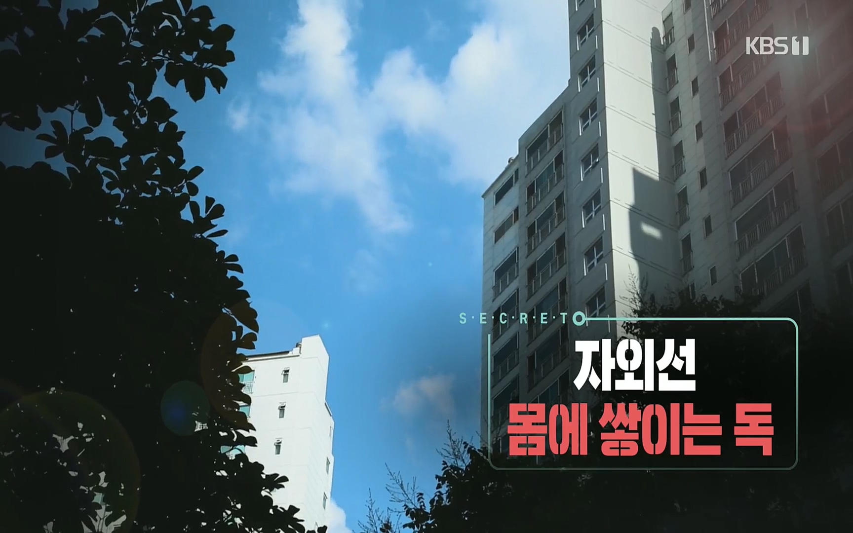생로병사의 비밀.E824.220629p.H264-F1RST.mp4_20220630_203612.084.jpg