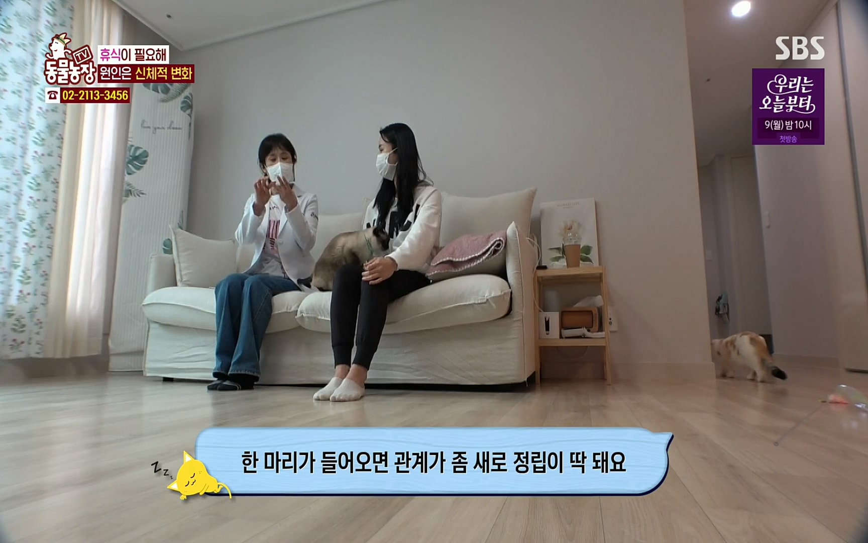 TV 동물농장.E1067.220501p.H264-F1RST.mp4_20220501_183120.491.jpg